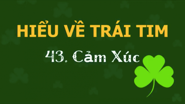 cảm x&uacute;c hiểu về tr&aacute;i tim